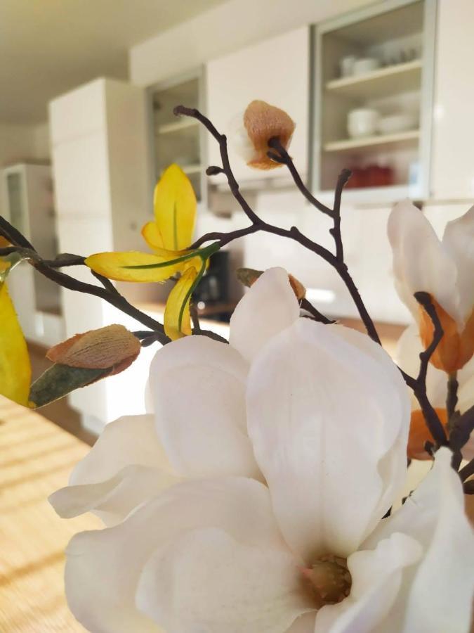Alpenblick Apartment Gastein - Inklusive Eintritt Alpentherme Bad Hofgastein Ngoại thất bức ảnh